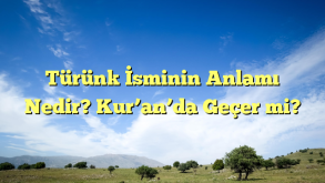 Türünk İsminin Anlamı Nedir? Kur’an’da Geçer mi?