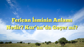 Ferican İsminin Anlamı Nedir? Kur’an’da Geçer mi?